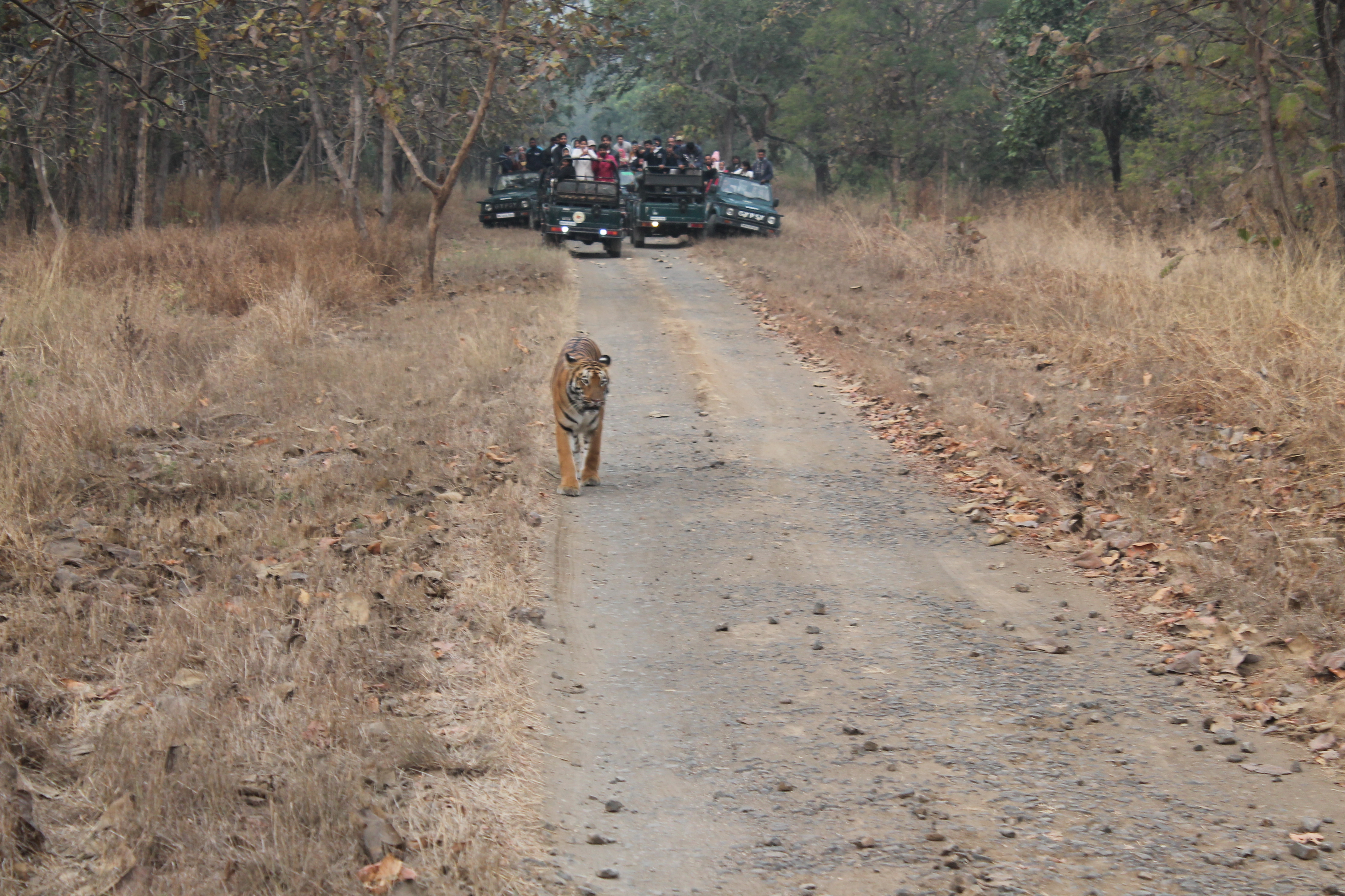 Trip to Tipeshwar Wildlife Sanctuary